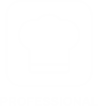 professional range hood